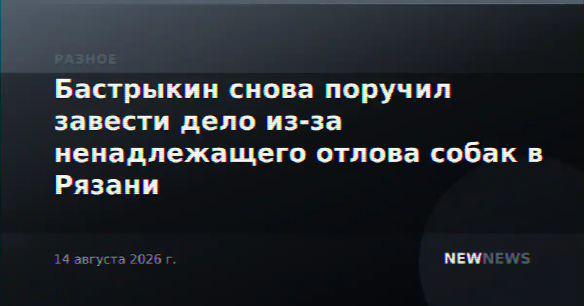 Бастрыкин снова поручил завести дело из-за ненадлежащего отлова собак в Рязани