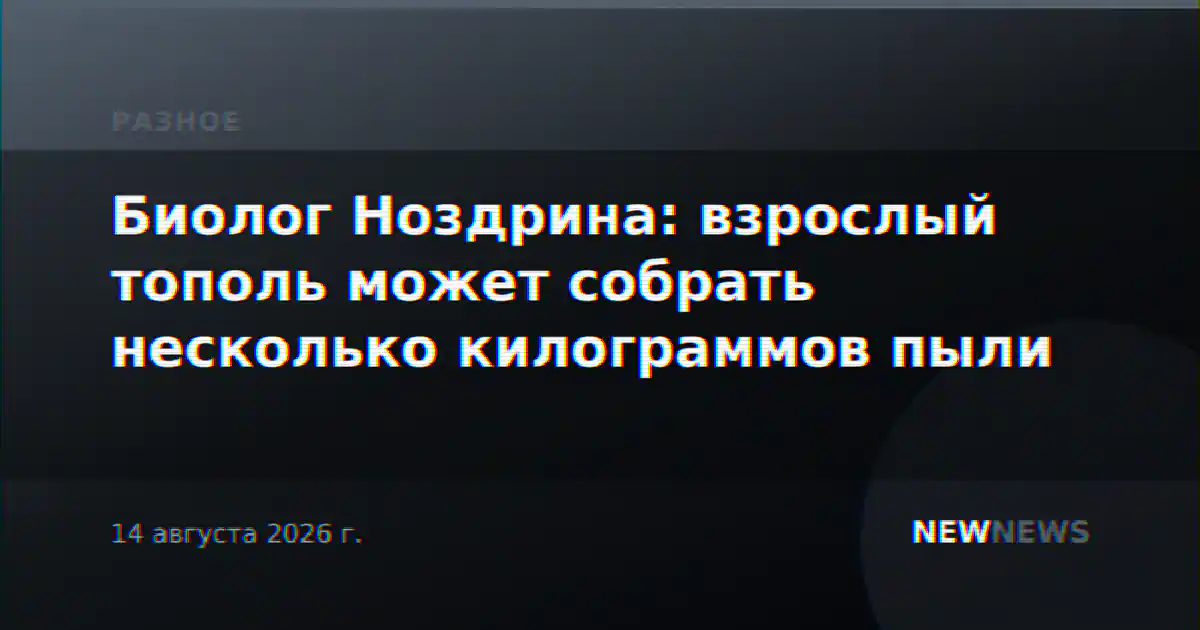 Биолог Ноздрина: взрослый тополь может собрать несколько килограммов пыли