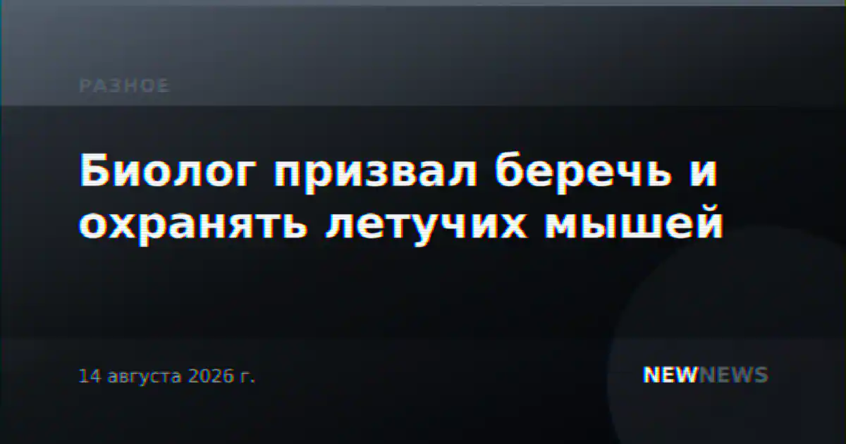 Биолог призвал беречь и охранять летучих мышей