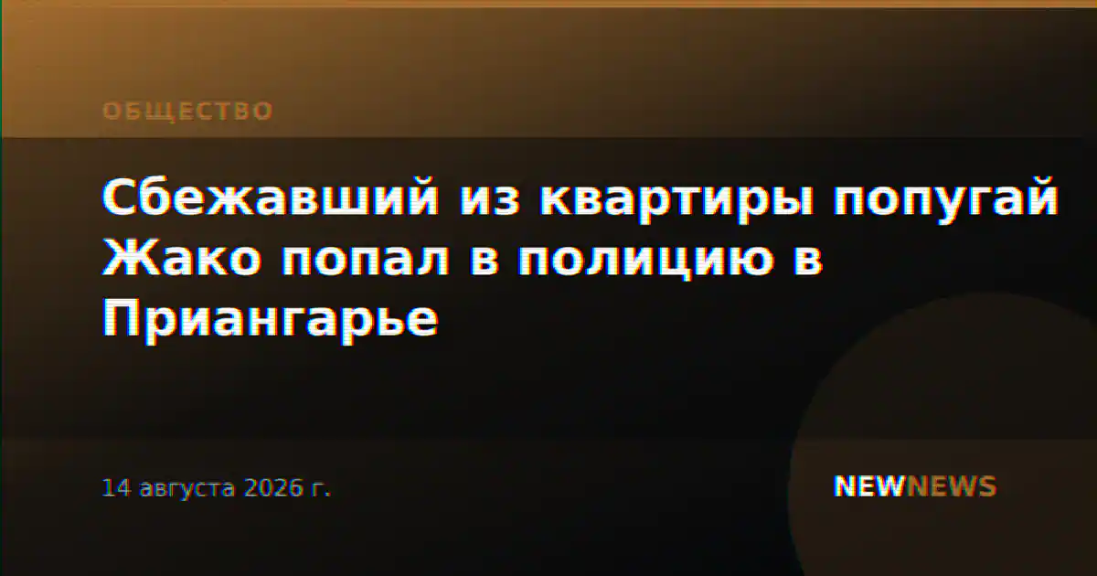 Сбежавший из квартиры попугай Жако попал в полицию в Приангарье