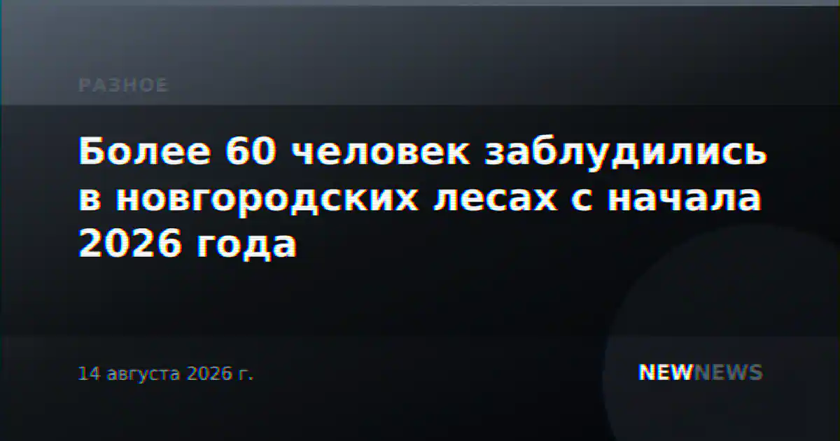 Более 60 человек заблудились в новгородских лесах с начала 2026 года