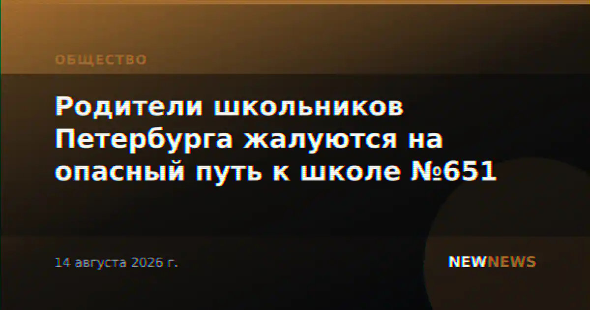 Родители школьников Петербурга жалуются на опасный путь к школе №651