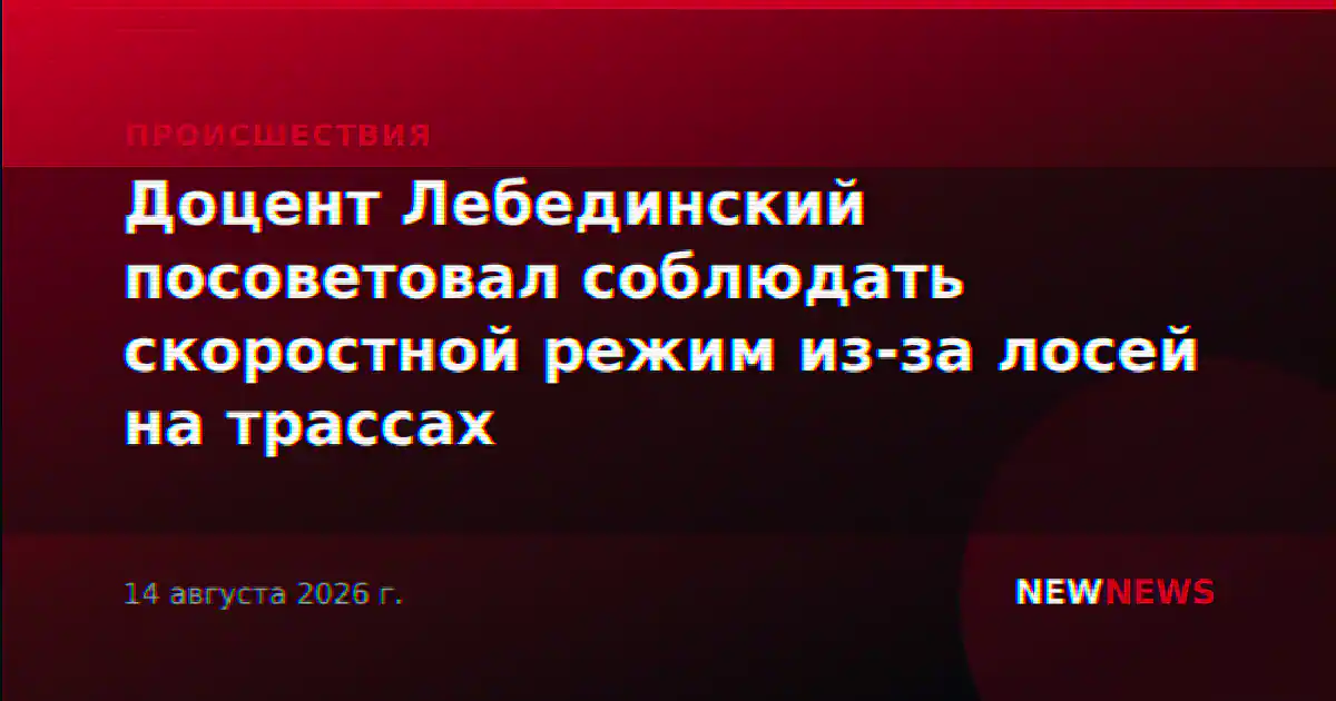 Доцент Лебединский посоветовал соблюдать скоростной режим из-за лосей на трассах