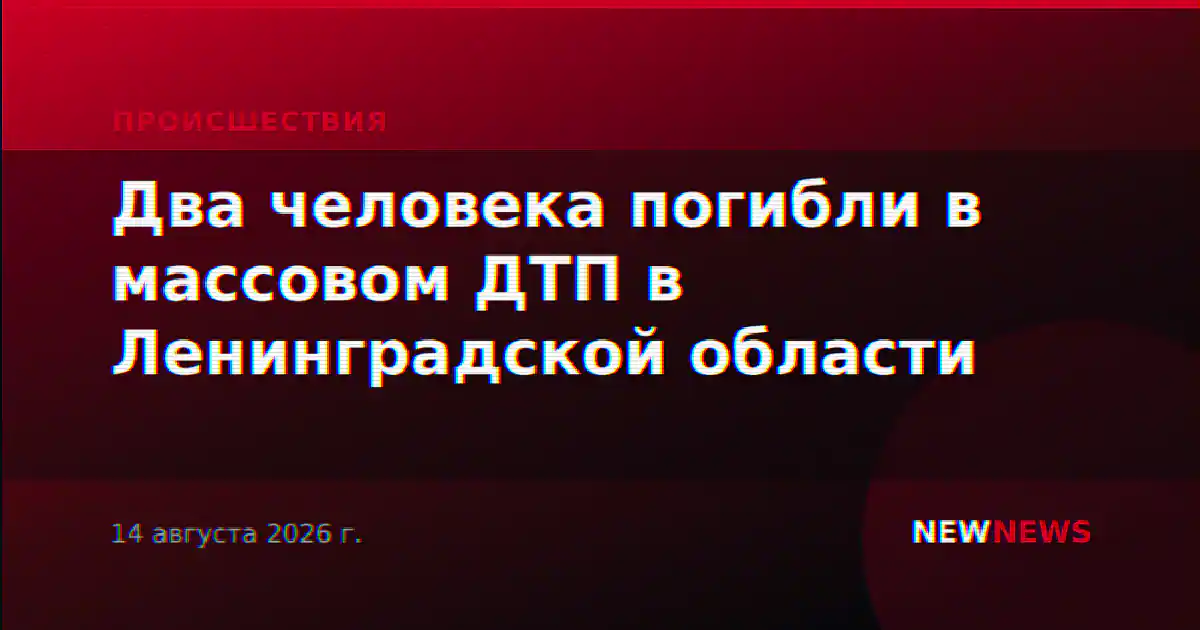 Два человека погибли в массовом ДТП в Ленинградской области