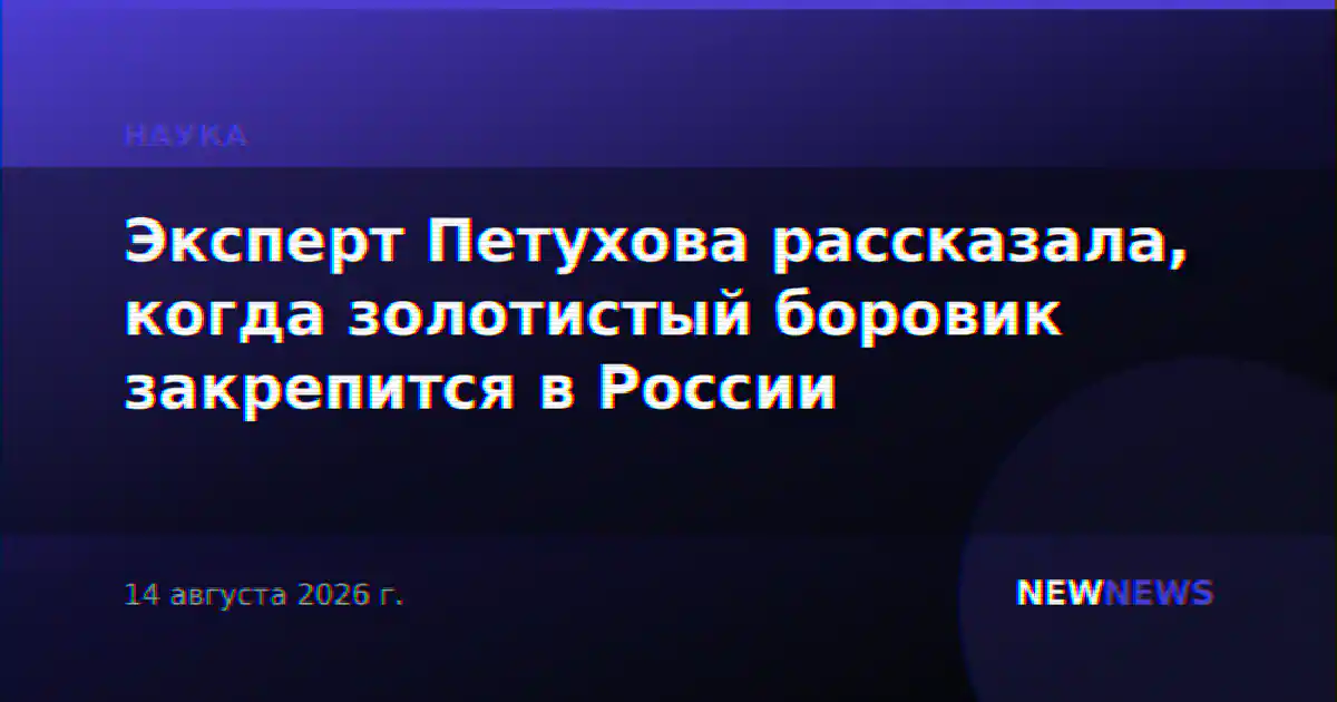 Эксперт Петухова рассказала, когда золотистый боровик закрепится в России