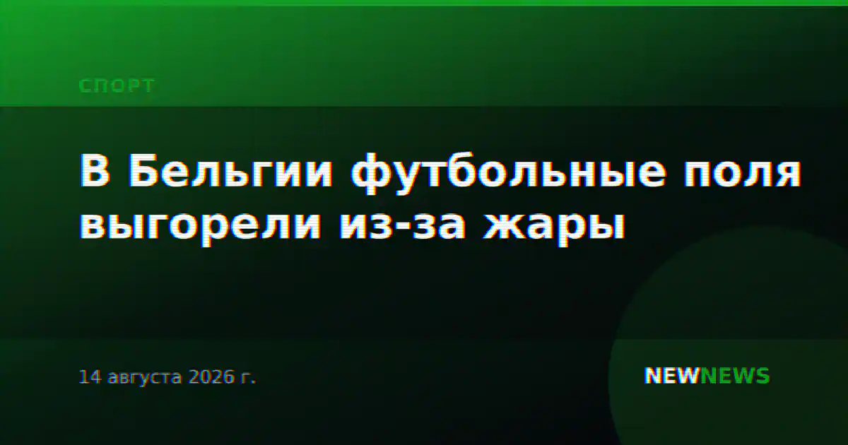 В Бельгии футбольные поля выгорели из-за жары