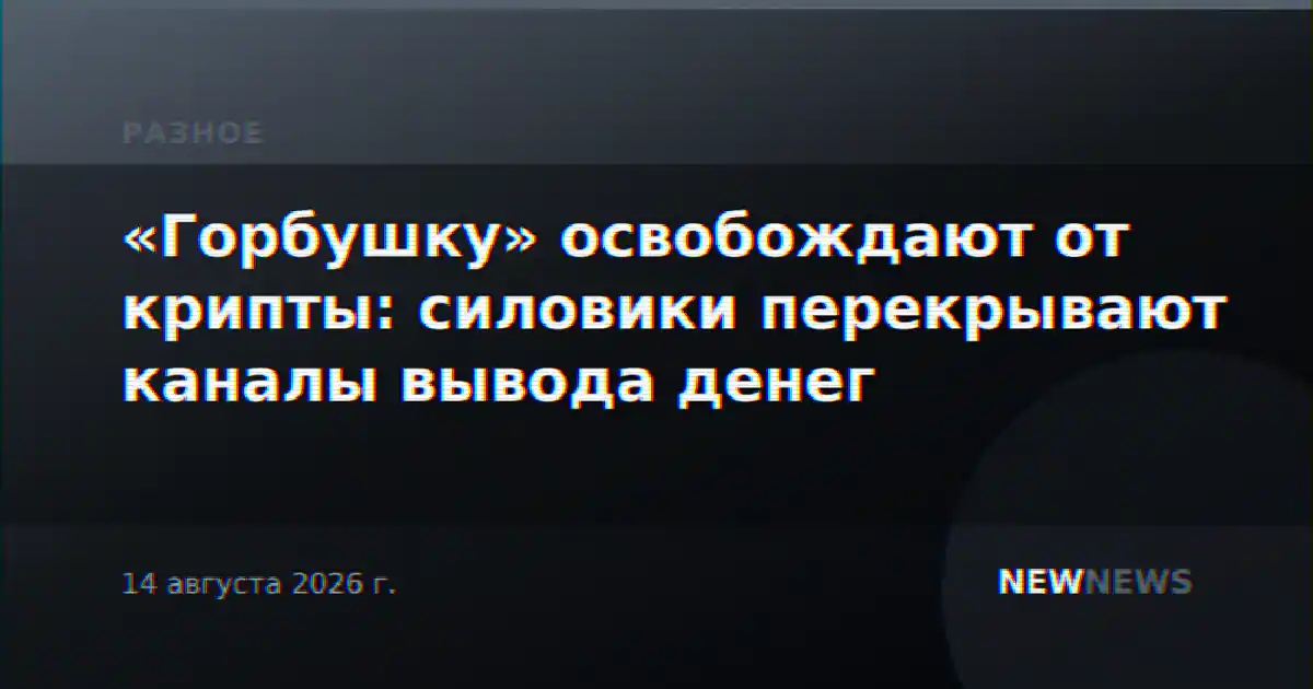 «Горбушку» освобождают от крипты: силовики перекрывают каналы вывода денег