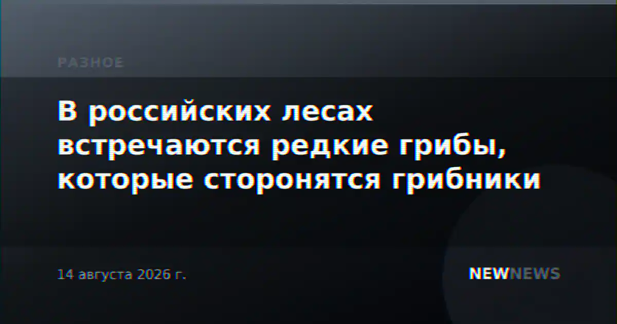 В российских лесах встречаются редкие грибы, которые сторонятся грибники