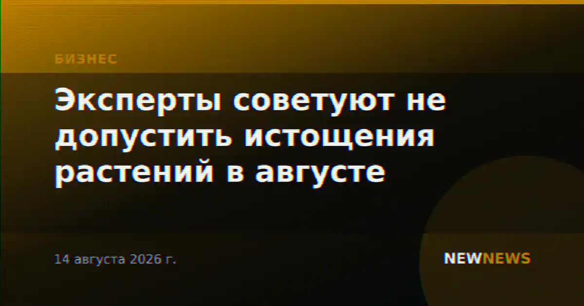 Эксперты советуют не допустить истощения растений в августе