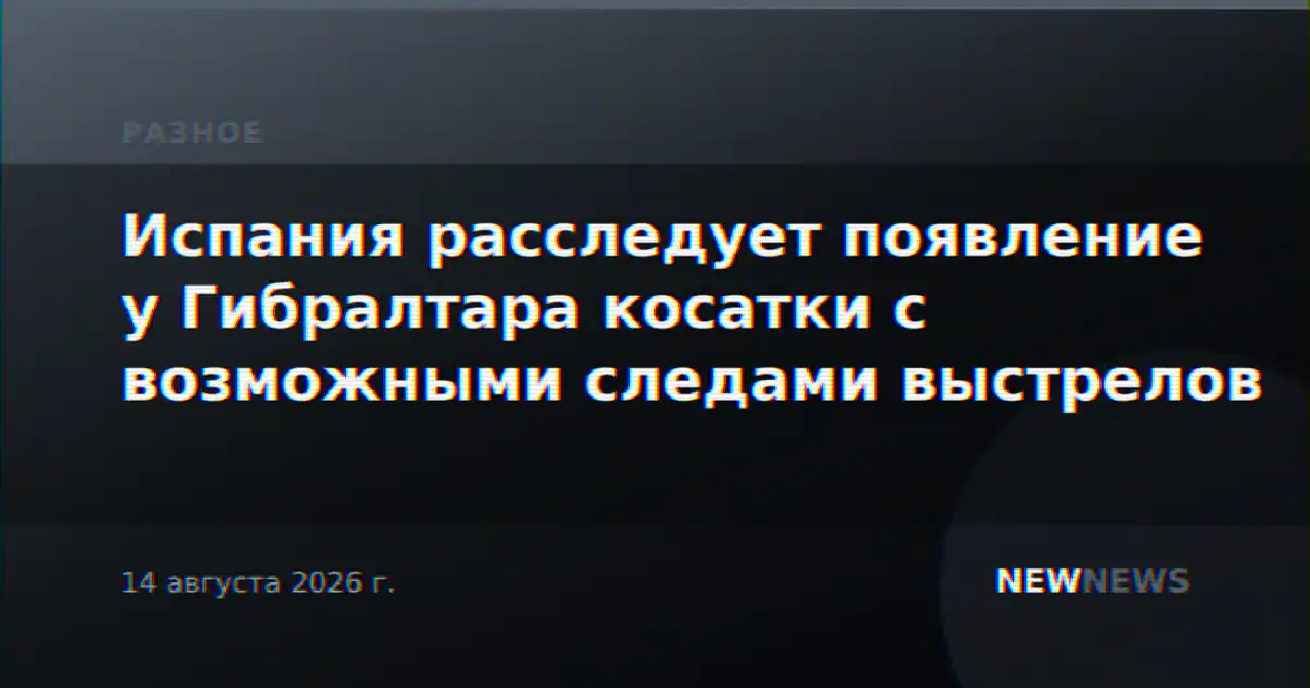 Испания расследует появление у Гибралтара косатки с возможными следами выстрелов