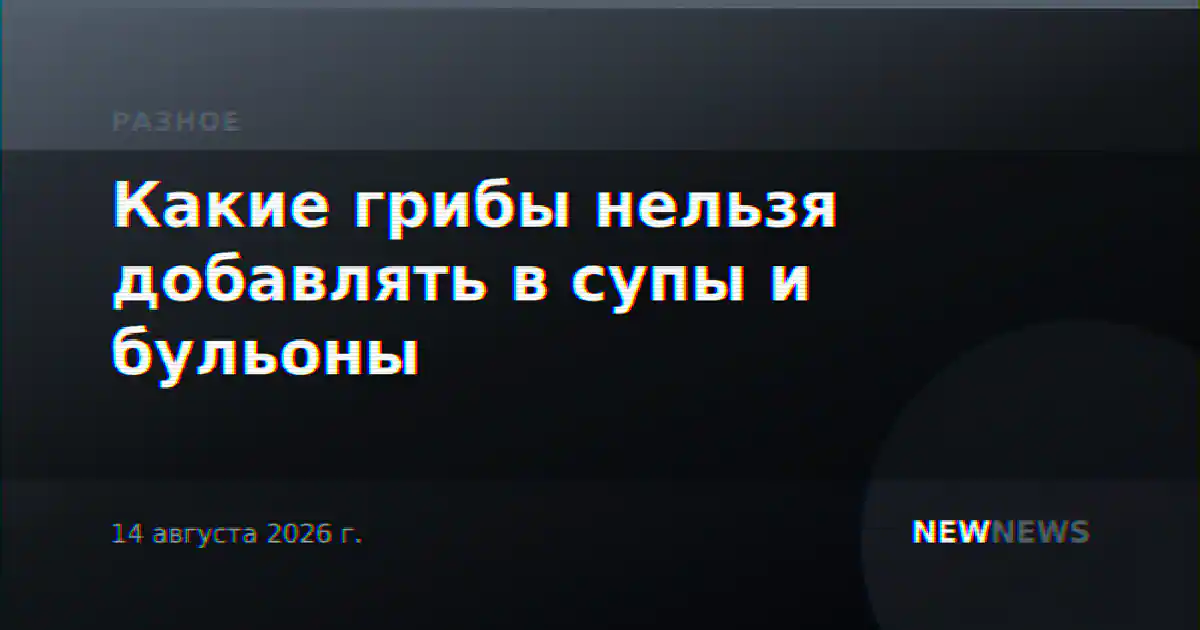 Какие грибы нельзя добавлять в супы и бульоны