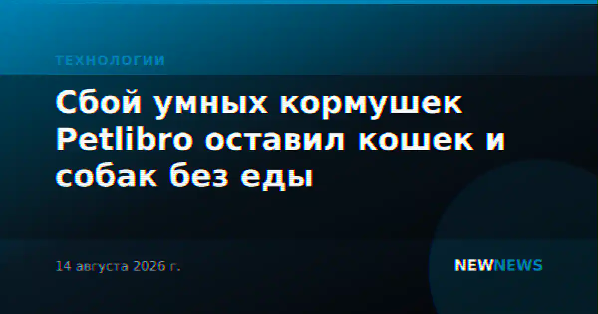 Сбой умных кормушек Petlibro оставил кошек и собак без еды