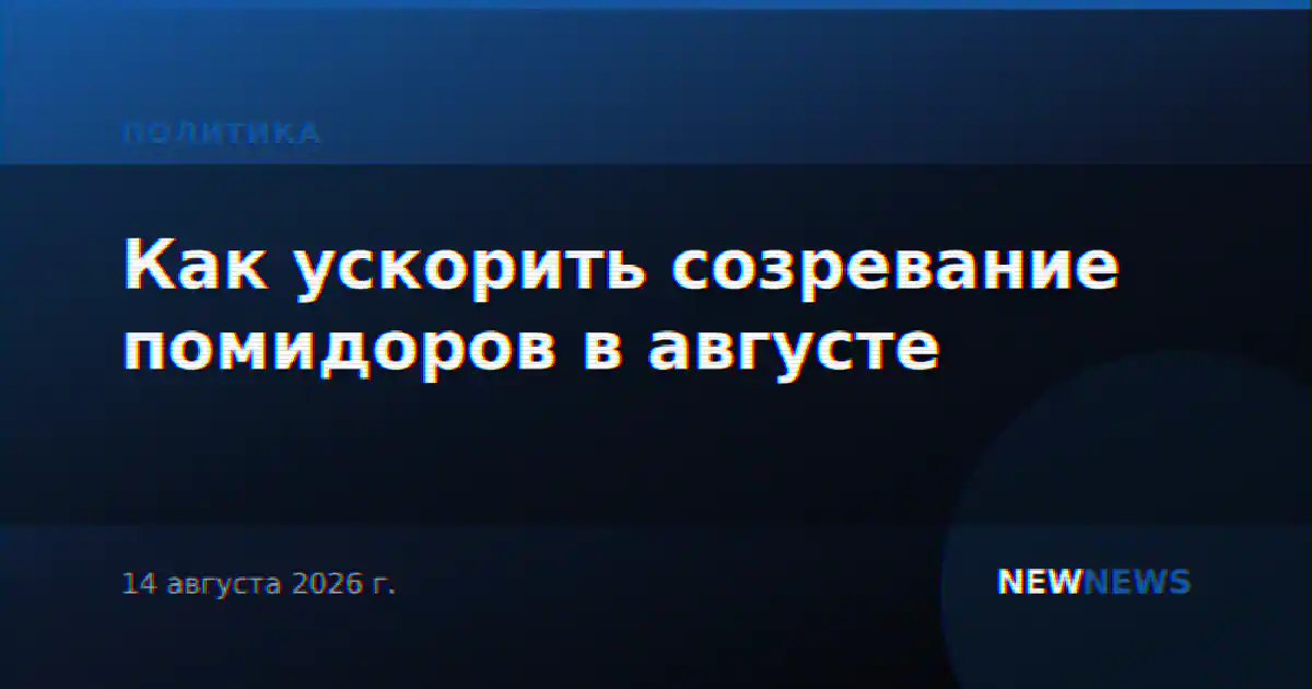 Как ускорить созревание помидоров в августе