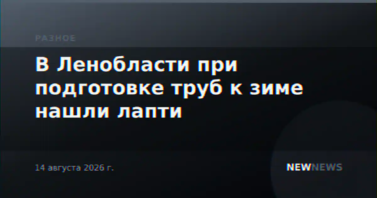 В Ленобласти при подготовке труб к зиме нашли лапти