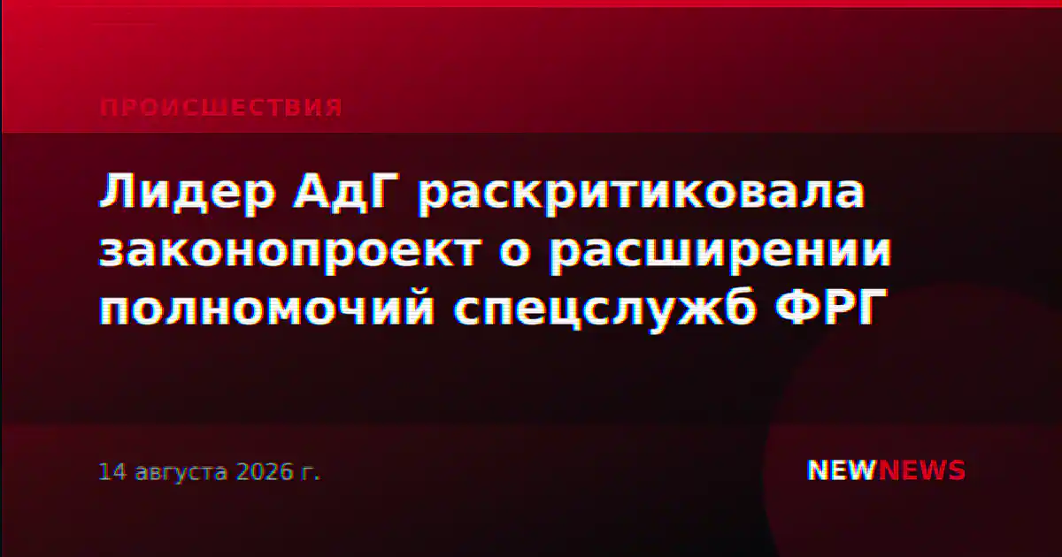 Лидер АдГ раскритиковала законопроект о расширении полномочий спецслужб ФРГ