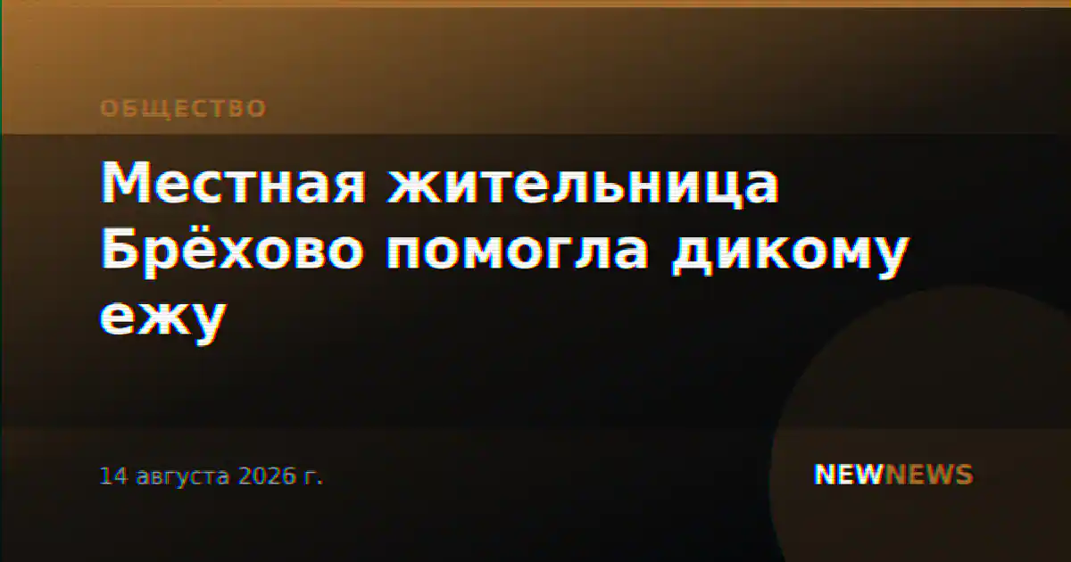 Местная жительница Брёхово помогла дикому ежу