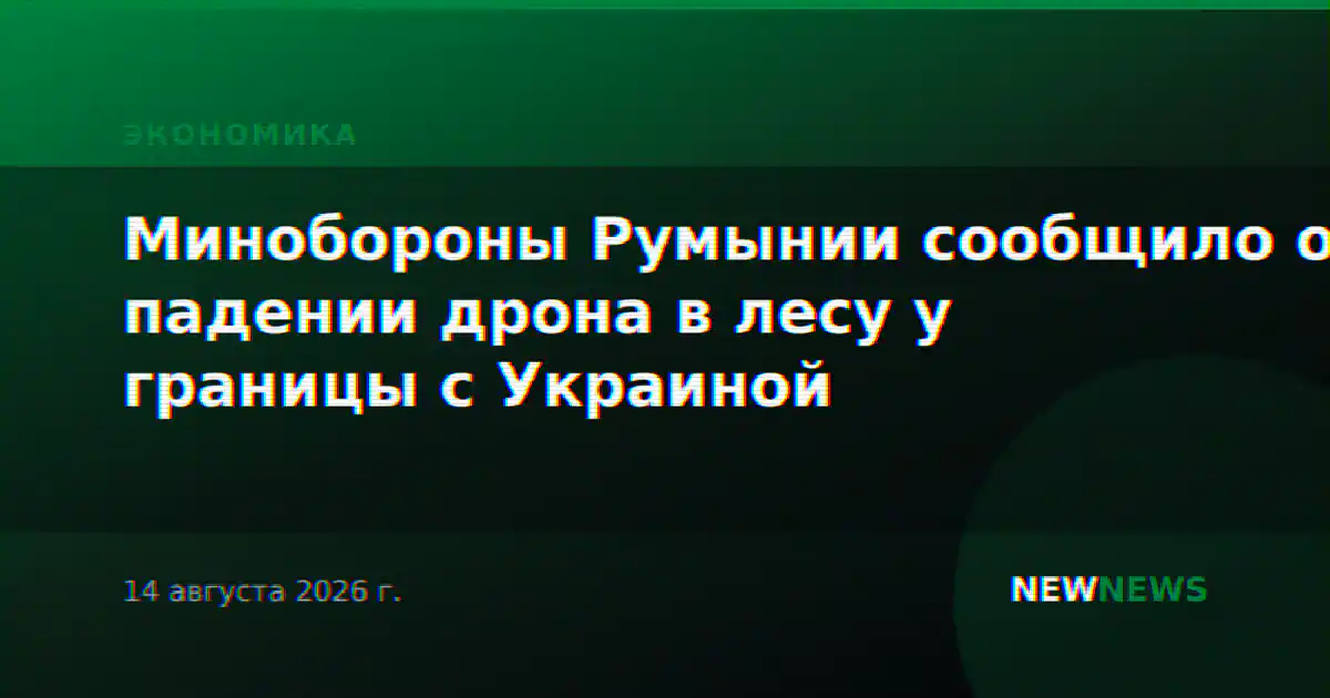 Минобороны Румынии сообщило о падении дрона в лесу у границы с Украиной
