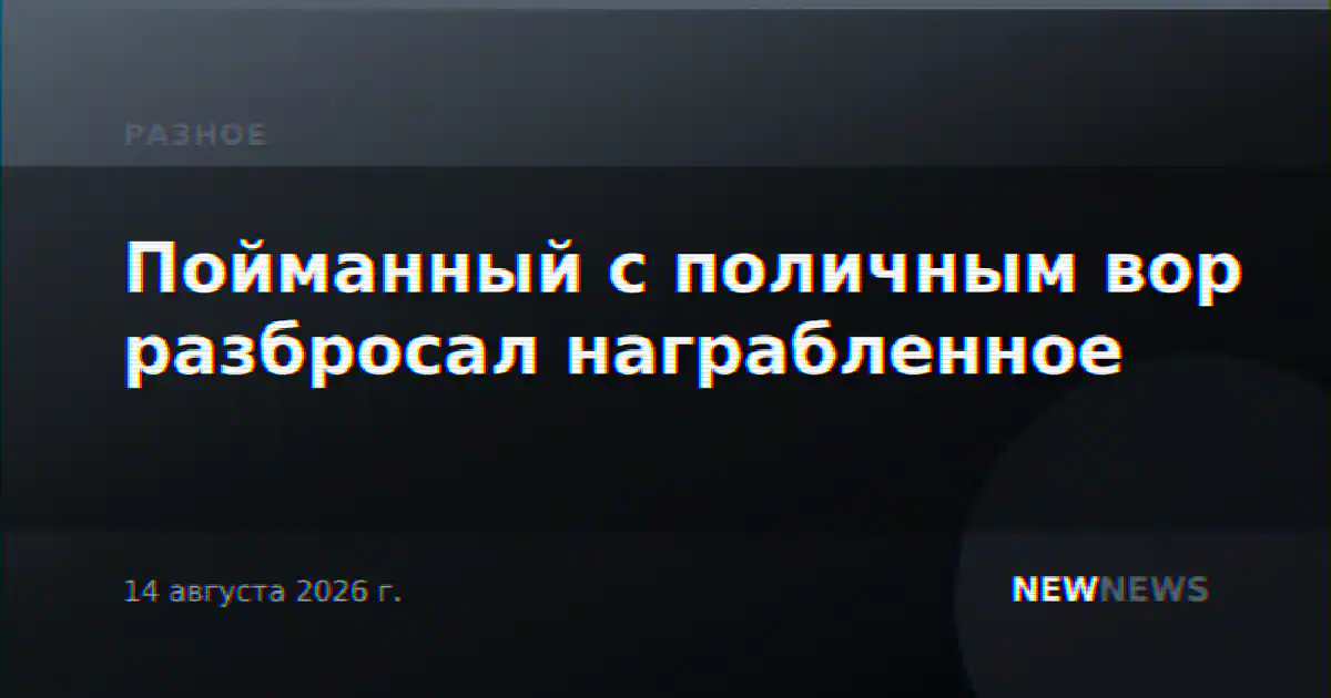 Пойманный с поличным вор разбросал награбленное