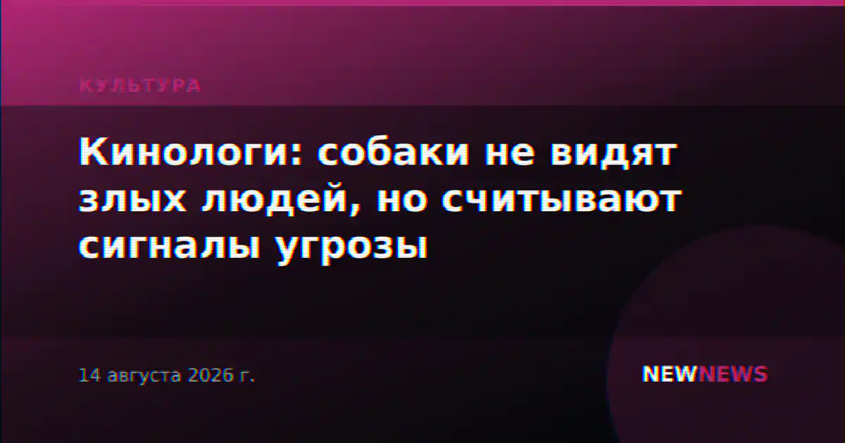 Кинологи: собаки не видят злых людей, но считывают сигналы угрозы
