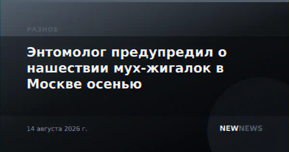 Энтомолог предупредил о нашествии мух-жигалок в Москве осенью
