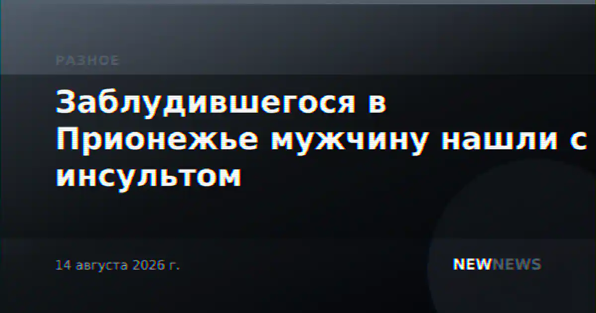 Заблудившегося в Прионежье мужчину нашли с инсультом