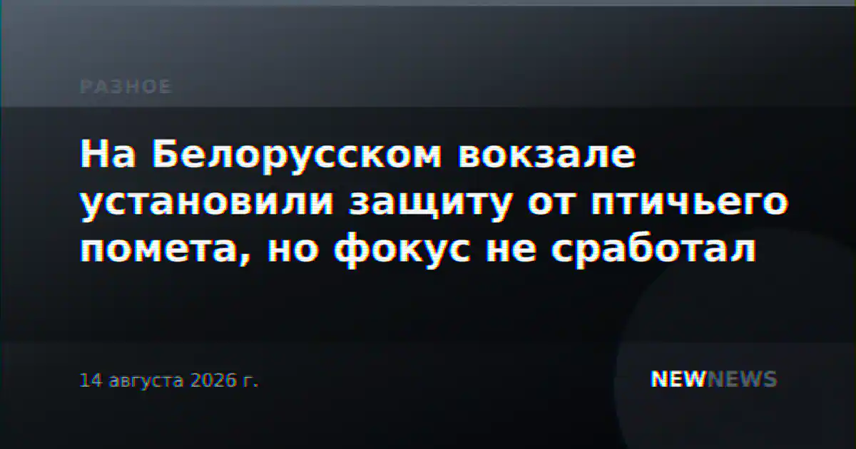 На Белорусском вокзале установили защиту от птичьего помета, но фокус не сработал