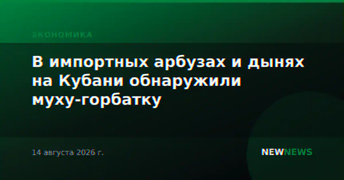 В импортных арбузах и дынях на Кубани обнаружили муху-горбатку