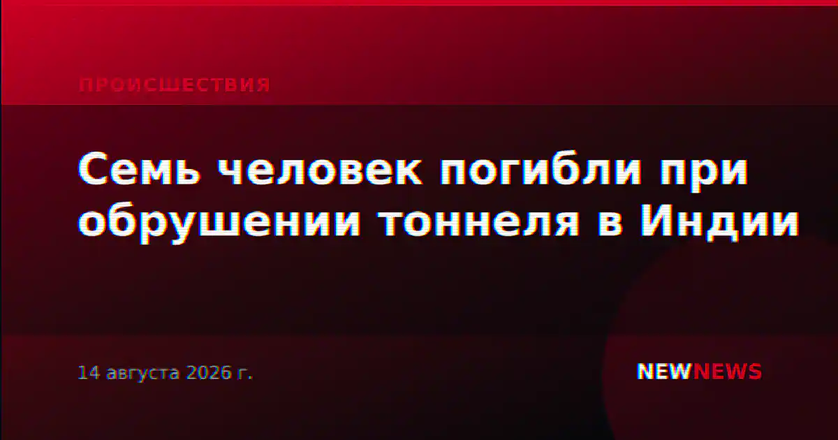 Семь человек погибли при обрушении тоннеля в Индии