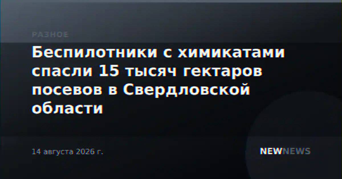 Беспилотники с химикатами спасли 15 тысяч гектаров посевов в Свердловской области