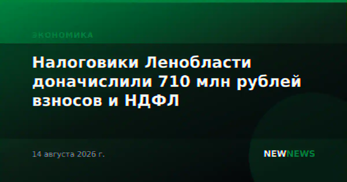 Налоговики Ленобласти доначислили 710 млн рублей взносов и НДФЛ