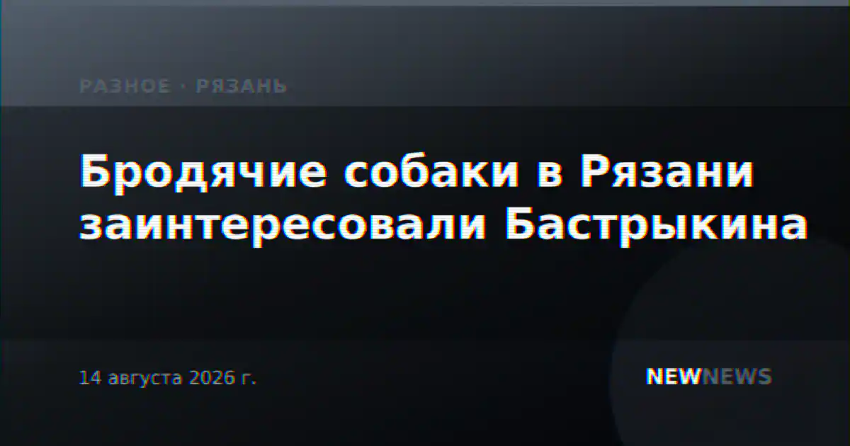 Бродячие собаки в Рязани заинтересовали Бастрыкина