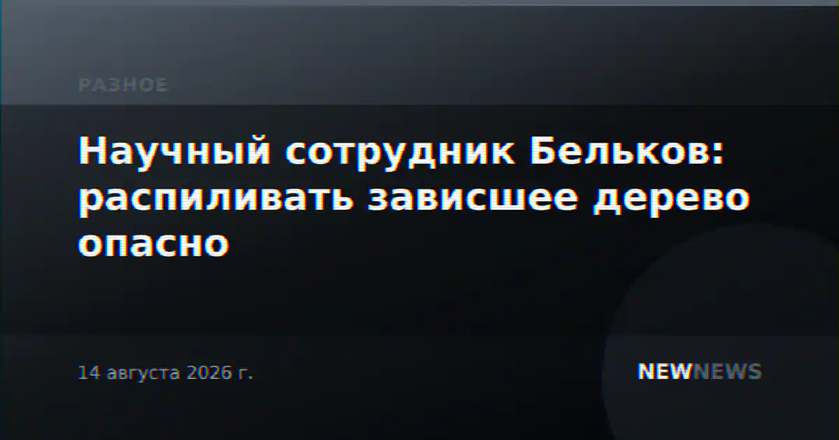 Научный сотрудник Бельков: распиливать зависшее дерево опасно