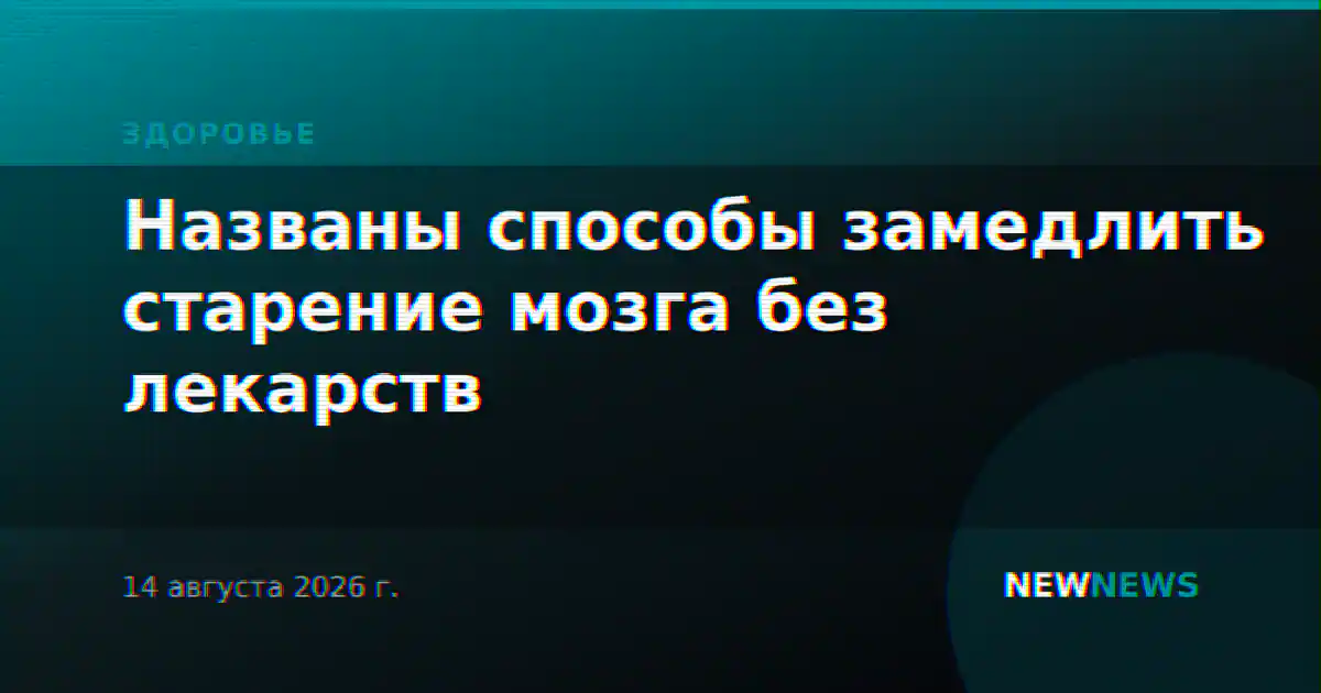 Названы способы замедлить старение мозга без лекарств