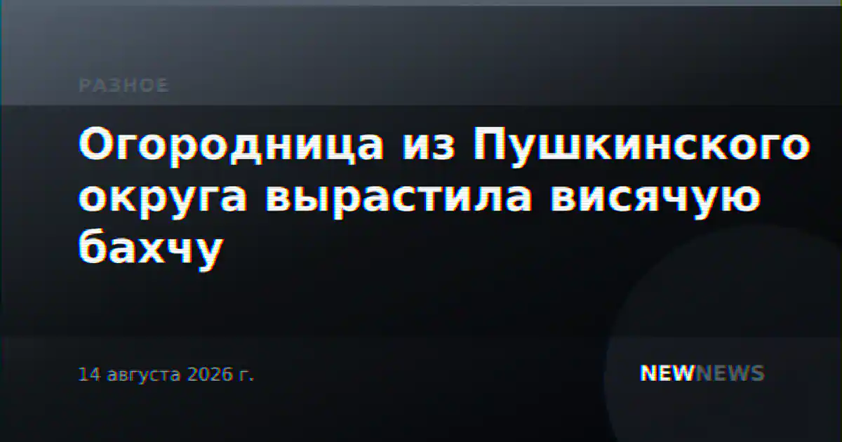 Огородница из Пушкинского округа вырастила висячую бахчу