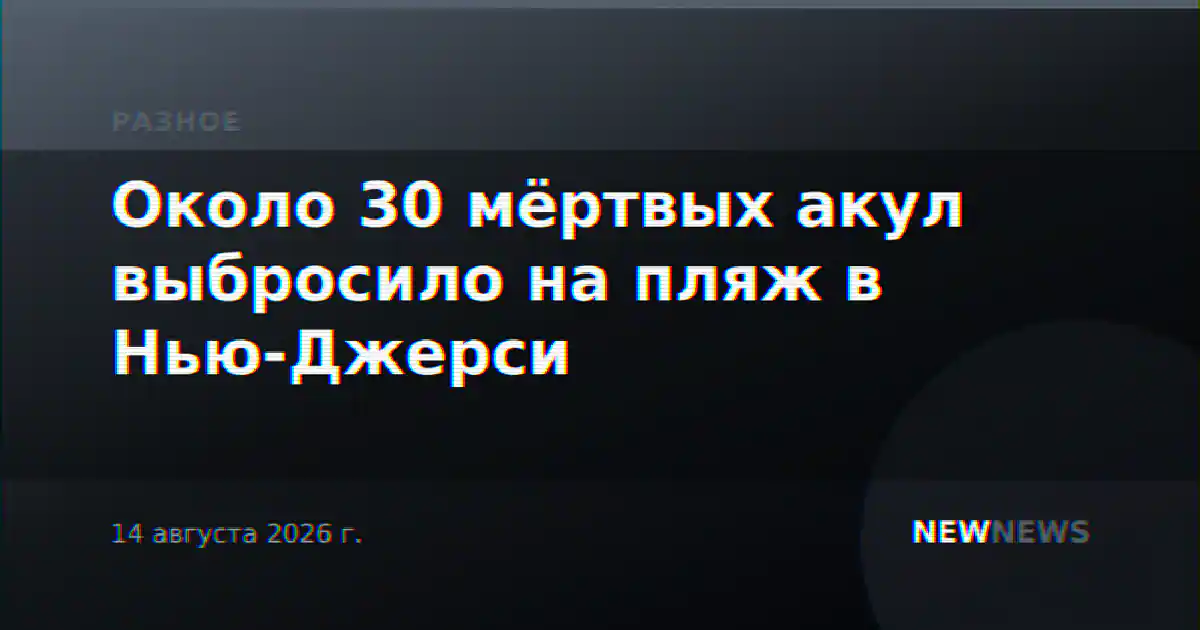 Около 30 мёртвых акул выбросило на пляж в Нью-Джерси