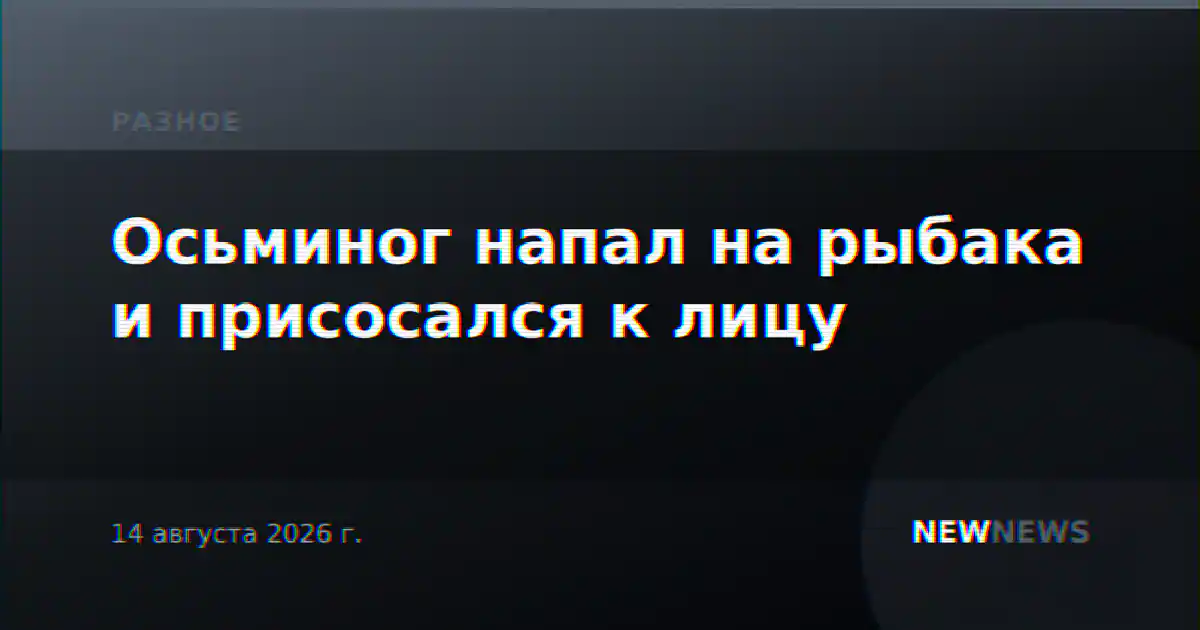 Осьминог напал на рыбака и присосался к лицу