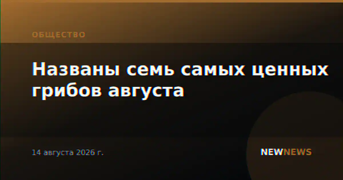 Названы семь самых ценных грибов августа