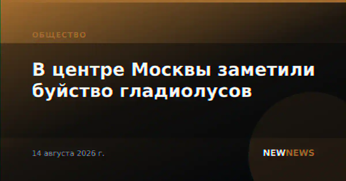 В центре Москвы заметили буйство гладиолусов