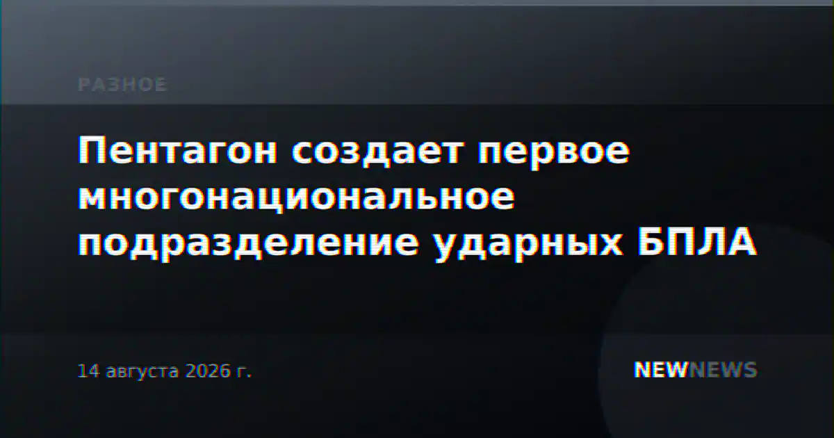 Пентагон создает первое многонациональное подразделение ударных БПЛА