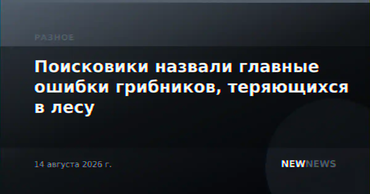 Поисковики назвали главные ошибки грибников, теряющихся в лесу
