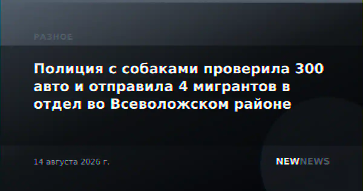 Полиция с собаками проверила 300 авто и отправила 4 мигрантов в отдел во Всеволожском районе