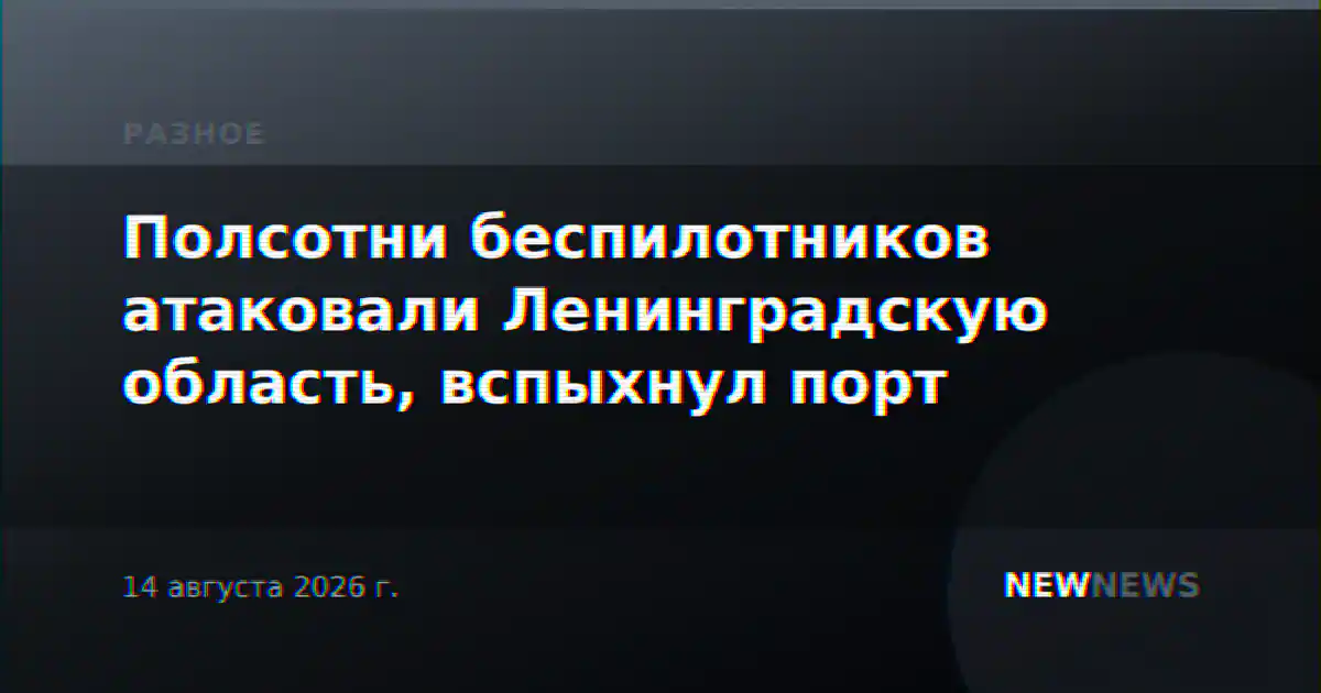 Полсотни беспилотников атаковали Ленинградскую область, вспыхнул порт