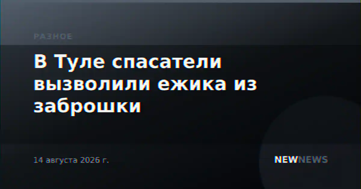 В Туле спасатели вызволили ежика из заброшки