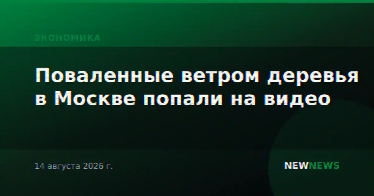 Поваленные ветром деревья в Москве попали на видео