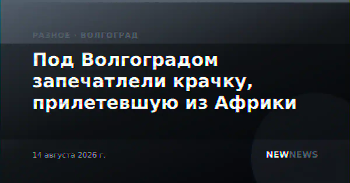 Под Волгоградом запечатлели крачку, прилетевшую из Африки