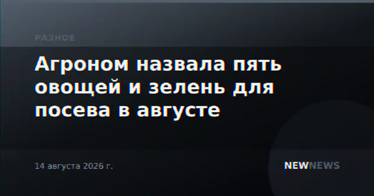 Агроном назвала пять овощей и зелень для посева в августе