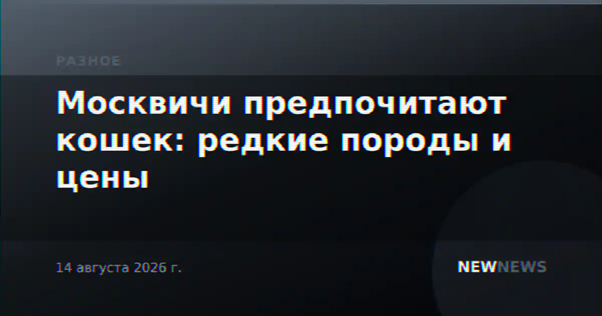 Москвичи предпочитают кошек: редкие породы и цены