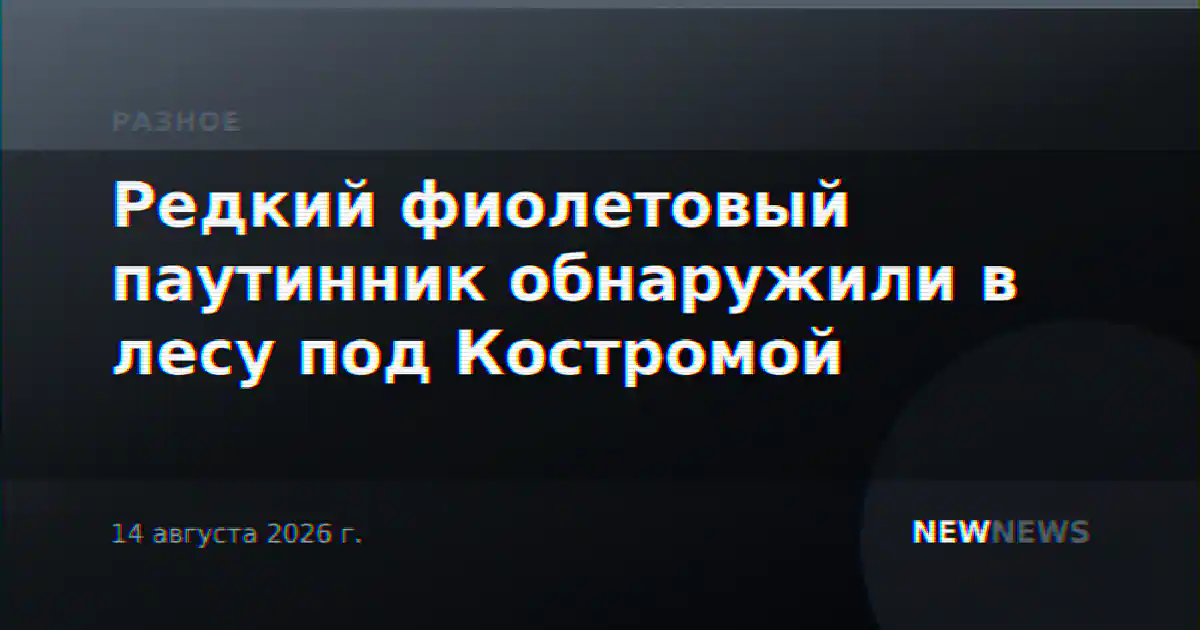 Редкий фиолетовый паутинник обнаружили в лесу под Костромой