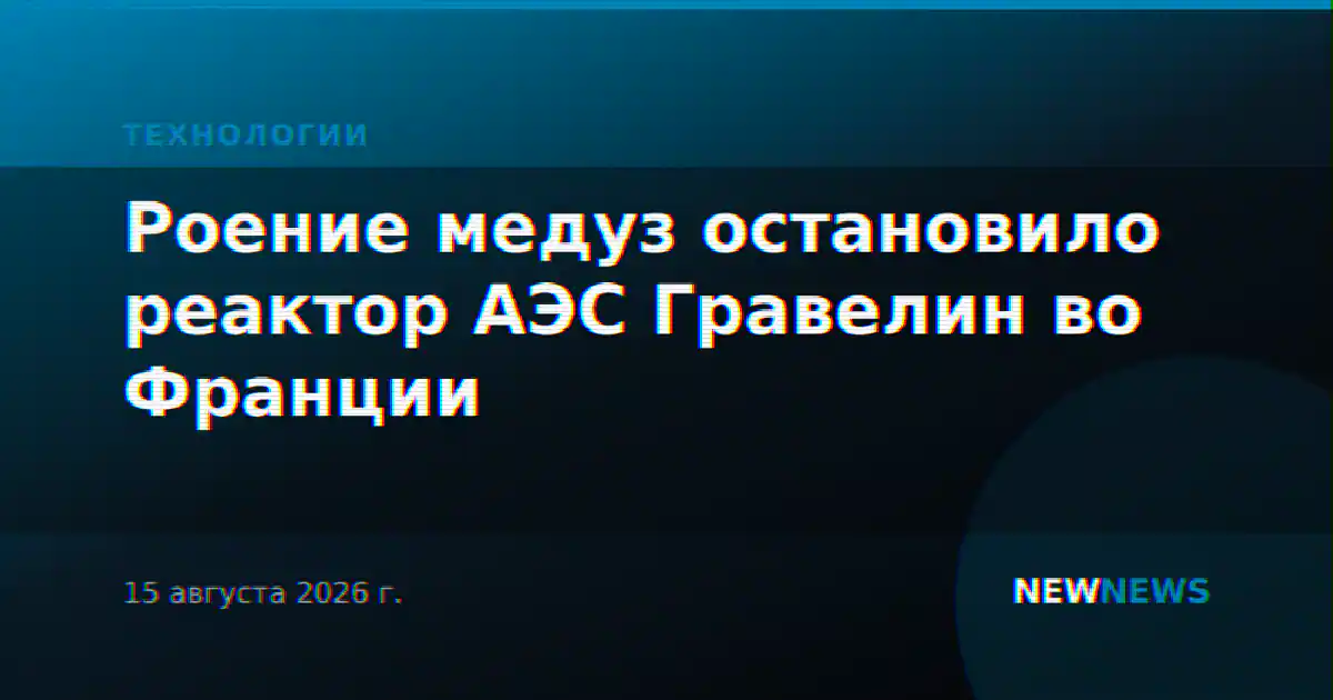 Роение медуз остановило реактор АЭС Гравелин во Франции