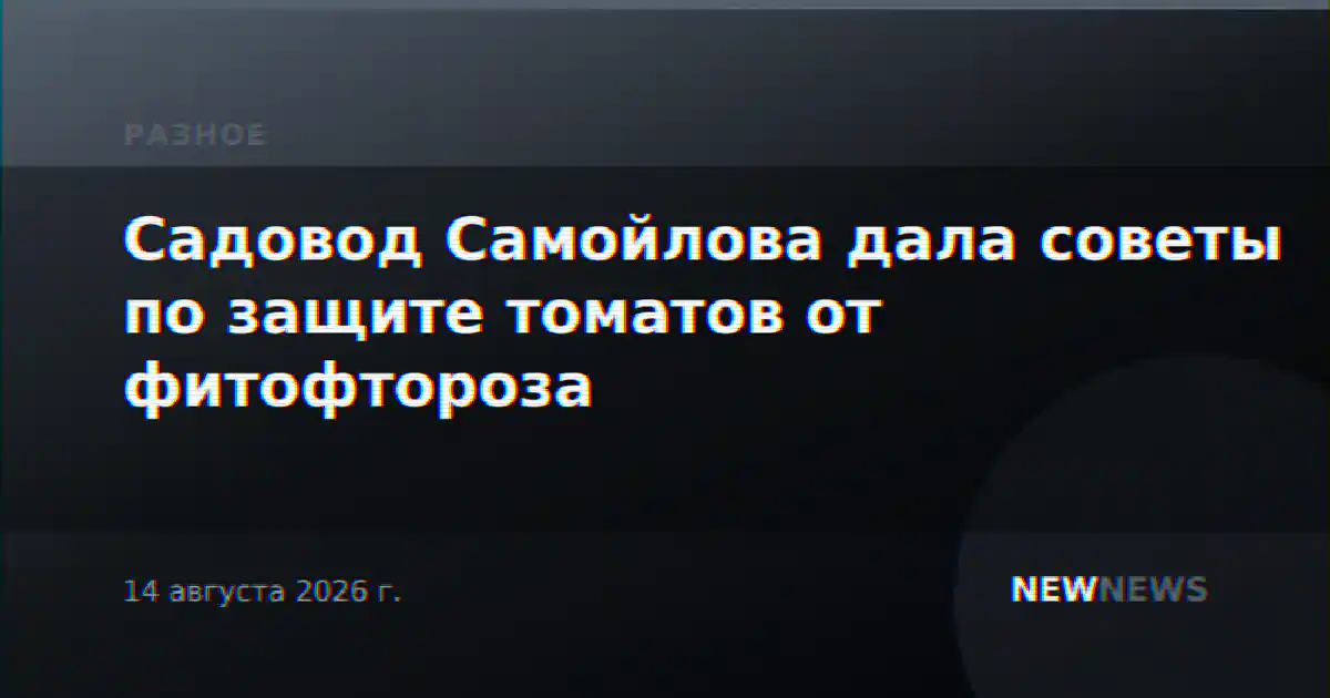 Садовод Самойлова дала советы по защите томатов от фитофтороза